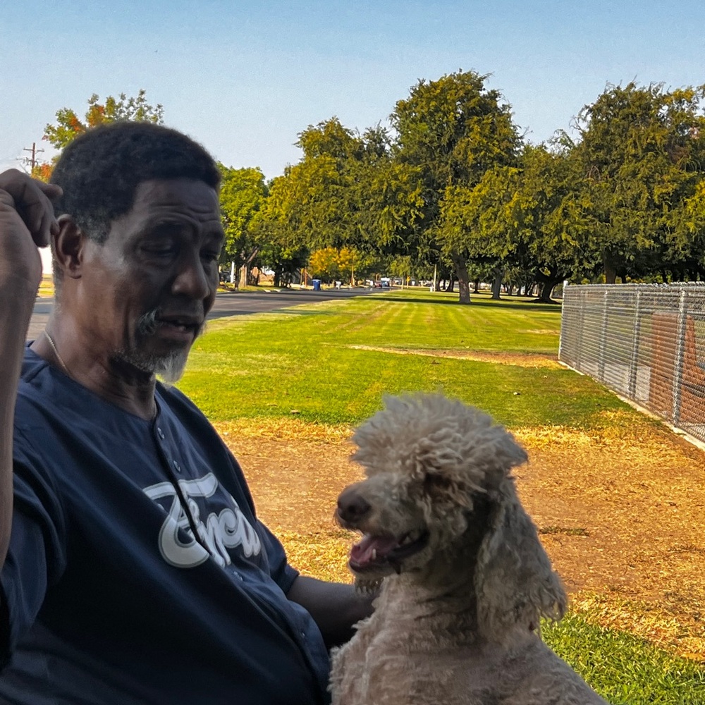 Live Show Listing 👀👀👀👀